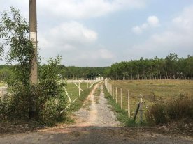 BatBnb's tweet photo. Nhung lo dat va du an BNB nieu tren la day ,ace nao muon so huu ,,kinh doanh ,mua ban kiem loi nhuan xin lh.….....0333755101mrNam rat vui hop tac https://t.co/8YisAVa5x7
