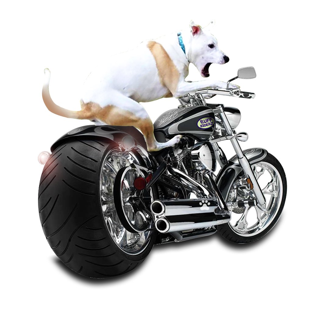RubyDawgOffcial's tweet photo. @JulesLia1 @theruffriderz Senden u uh hug! Git better kwik!
U fynd owt hu it is n I'll chays hem down on mah #MutterCycle!
#TheRuffRiderz #Rubydawg https://t.co/hPOFXnUcR1