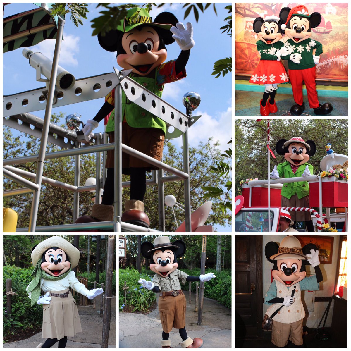 360DegreesofDis's tweet photo. We have had some wild times at #DisneysAnimalKingdom with #MickeyMouse and #MinnieMouse! #GoodbyeOldLook #WDW #WaltDisneyWorld #DAK #AK #AnimalKingdom #ミッキーマウス #ミニーマウス #MickeysJamminJungleParade https://t.co/Po2HzZA0Jg