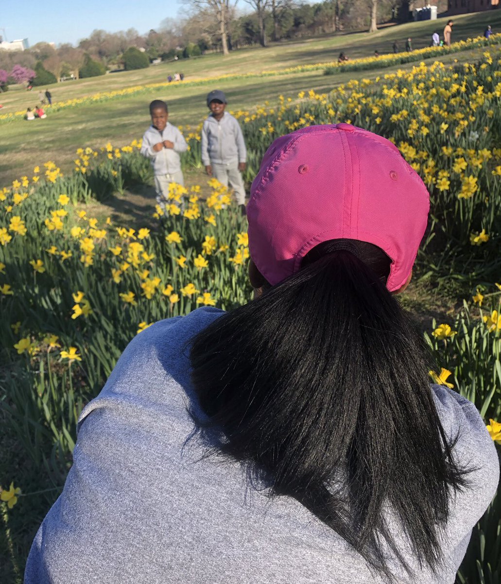 KFore1's tweet photo. Thankful for the spring weather and the @DixPark daffodils! 🌼 🌼 #CityofRaleigh #DixParkDaffodils #ribbonsofyellow #familytime #NCspring @DowntownRaleigh 💛💛 https://t.co/XUGqS95HSW
