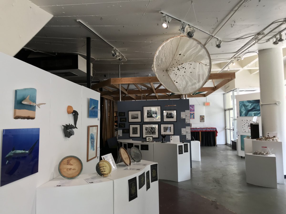 himb_soest's tweet photo. It’s the final week of SYMBIOSEAS sci-art exhibit!
SEE THE EXHIBIT | 12-5 pm, Tuesday-Thursday at ARTS at Marks Garage. Consider attending one of our upcoming events, this Friday and Saturday. #performanceart #sciart #scicomm #scicom #symbioseas #coralreefs #chasingcoral https://t.co/ZVI62PkLuc