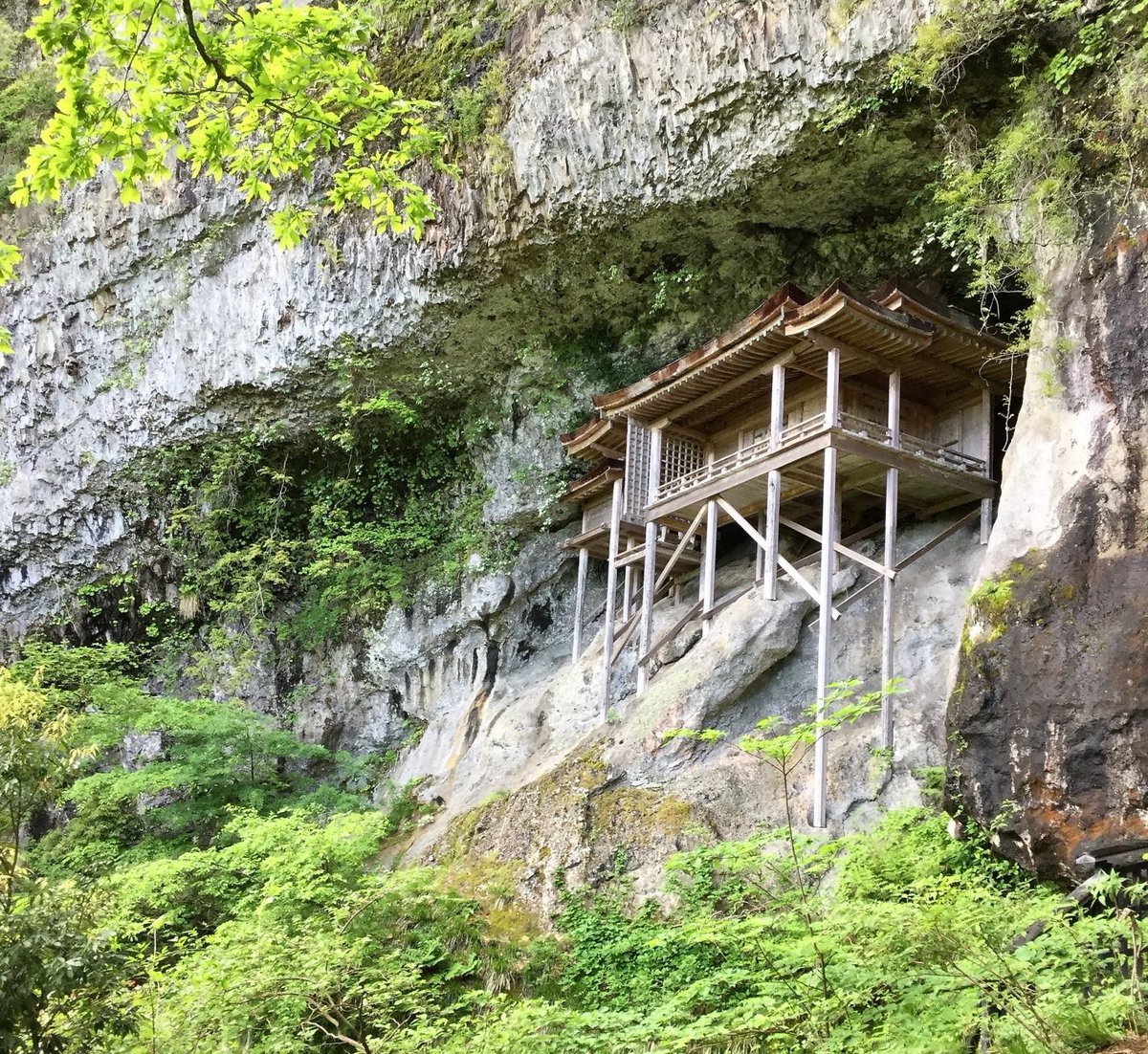 japantrip_jp's tweet photo. Sanbutsuji is a Buddhist temple of Tendai sect in Misasa-cho, Tohaku-gun, Tottori Prefecture. It is a mountain temple with a precinct in Mitokusan, which is located approximately in the center of Tottori Prefecture.
https://t.co/mBaXcZPkbj
#japantrip #tottori #misasa #sanbutsuji https://t.co/T3b0ZMCnEY