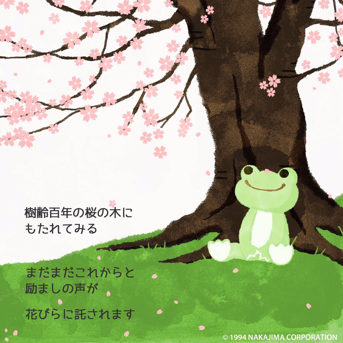 Pickles The Frog かえるのピクルス Auf Twitter ある日のピクルス 12 樹齢百年の桜の木に もたれてみる まだまだこれからと 励ましの声が 花びらに託されます 平岡淳子さんと吉井みいさんによるピクルスの詩と絵のプロジェクト かえるのピクルス