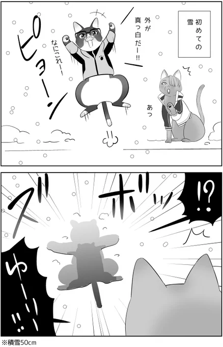 猫勇利、はじめての積雪 in ロシア【猫ヴィク勇】
(出会い→https://t.co/tcytluZbKS) 