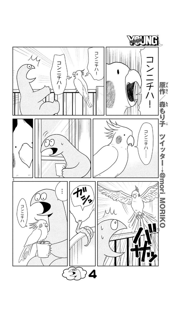 本日発売のヤンマガ(17号)に『ギャルと恐竜』21話載ってます！恐竜くん、インコに出会うの巻? 続きはヤンマガで！ 