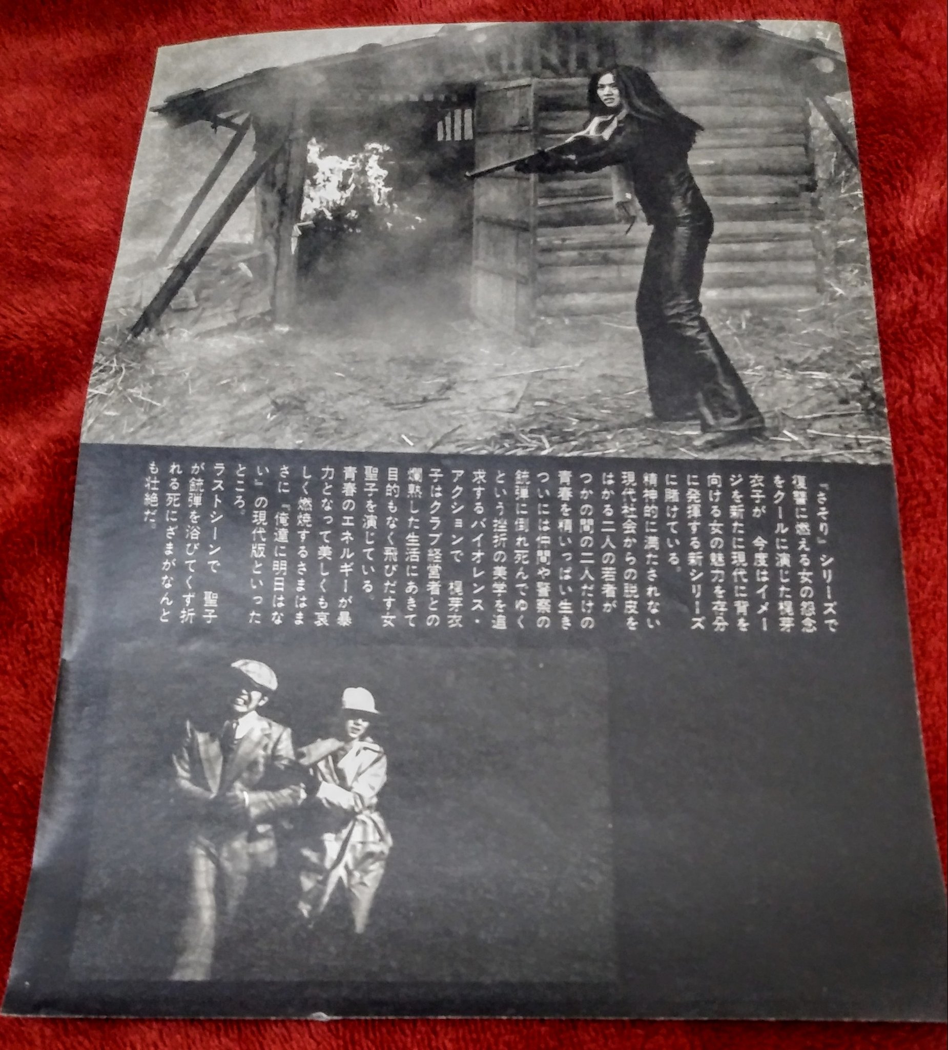 ট ইট র 屍エージロウ屍 梶芽衣子生誕祭 壮絶な芽衣子の死にざま ジーンズ ブルース 明日なき無頼派 より