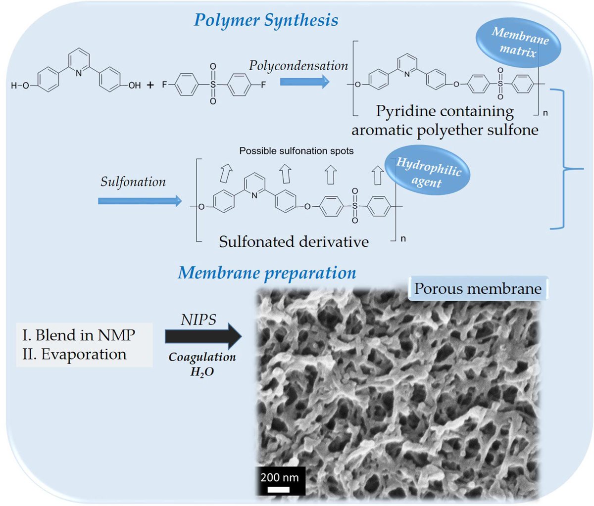 Polymers_MDPI's tweet photo. #Polymers, "Preparation of #Porous #Polymeric #Membranes Based on a #Pyridine Containing #Aromatic #Polyether #Sulfone"
https://t.co/HlGEP6bcjl https://t.co/mEebbodvrw