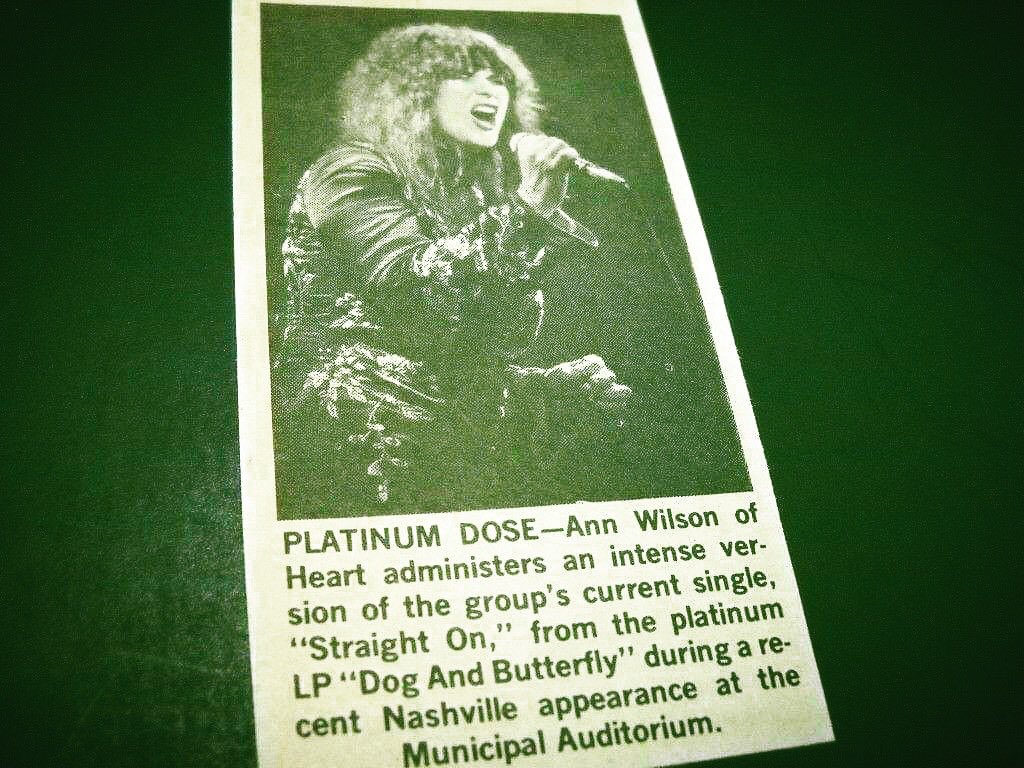 Ann Wilson tweet media
