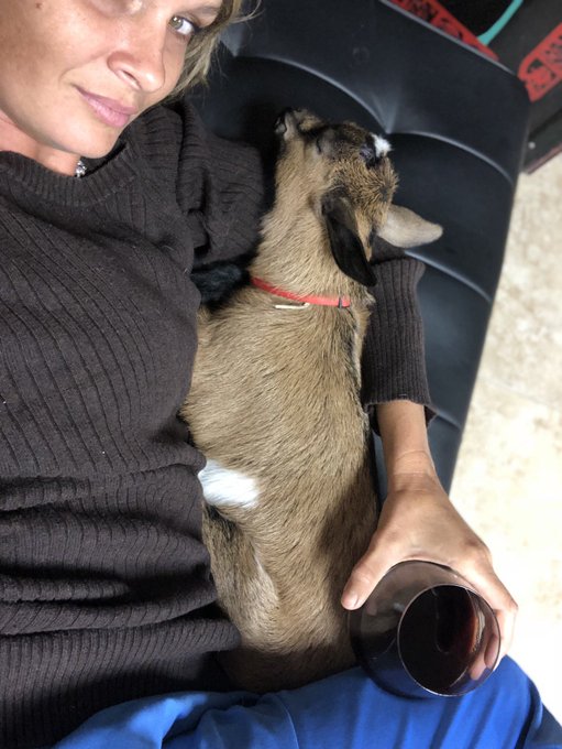So cute. https://t.co/6cuRJf1iqF
