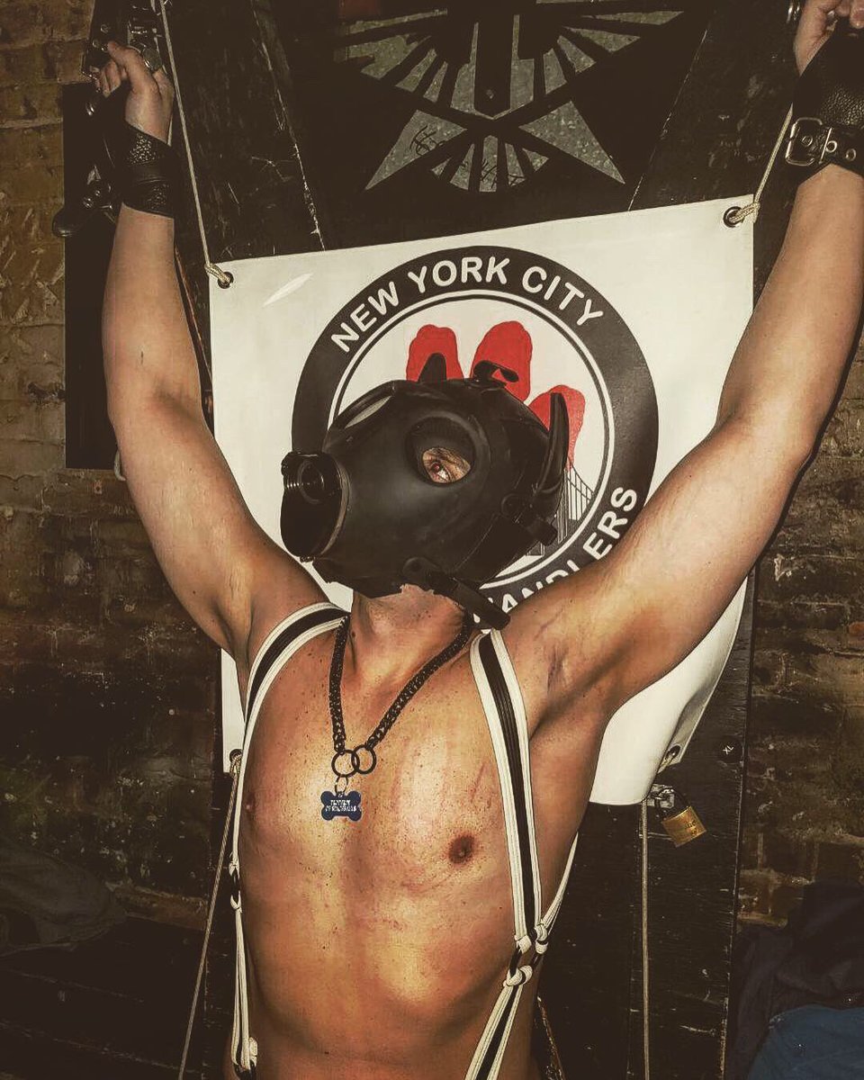 JohnnyIron846's tweet photo. NYC Pupnight @theeaglenyc @NYCPAH was a blast, thank you @CupidPup @Leothepup1 @PupRocco #humanpup #pupplay @cellblock13LA #cellblock13 #bdsm #pride https://t.co/NeCfDnquHS