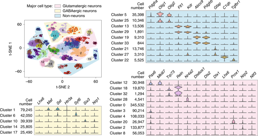 mmw_lmw's tweet photo. Scalable analysis from #Single_Cell_Transcriptomics using #Deep_Recurrent_Learning | Application to mouse Brain dataset | Steven Altschuler @UCSF @naturemethods https://t.co/g3aGlaP2rp https://t.co/VNcJgeAj6m