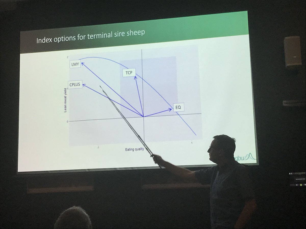AGBU_GENE's tweet image. Another fantastic presentation from Andrew Swan an integral part of the @AGBU_GENE sheep team. Looking at the value of different information source for breeding programs looking to improve eating quality. #Genomics #Phenotypes #BreedingPrograms #Indexes #AGBUSeminar