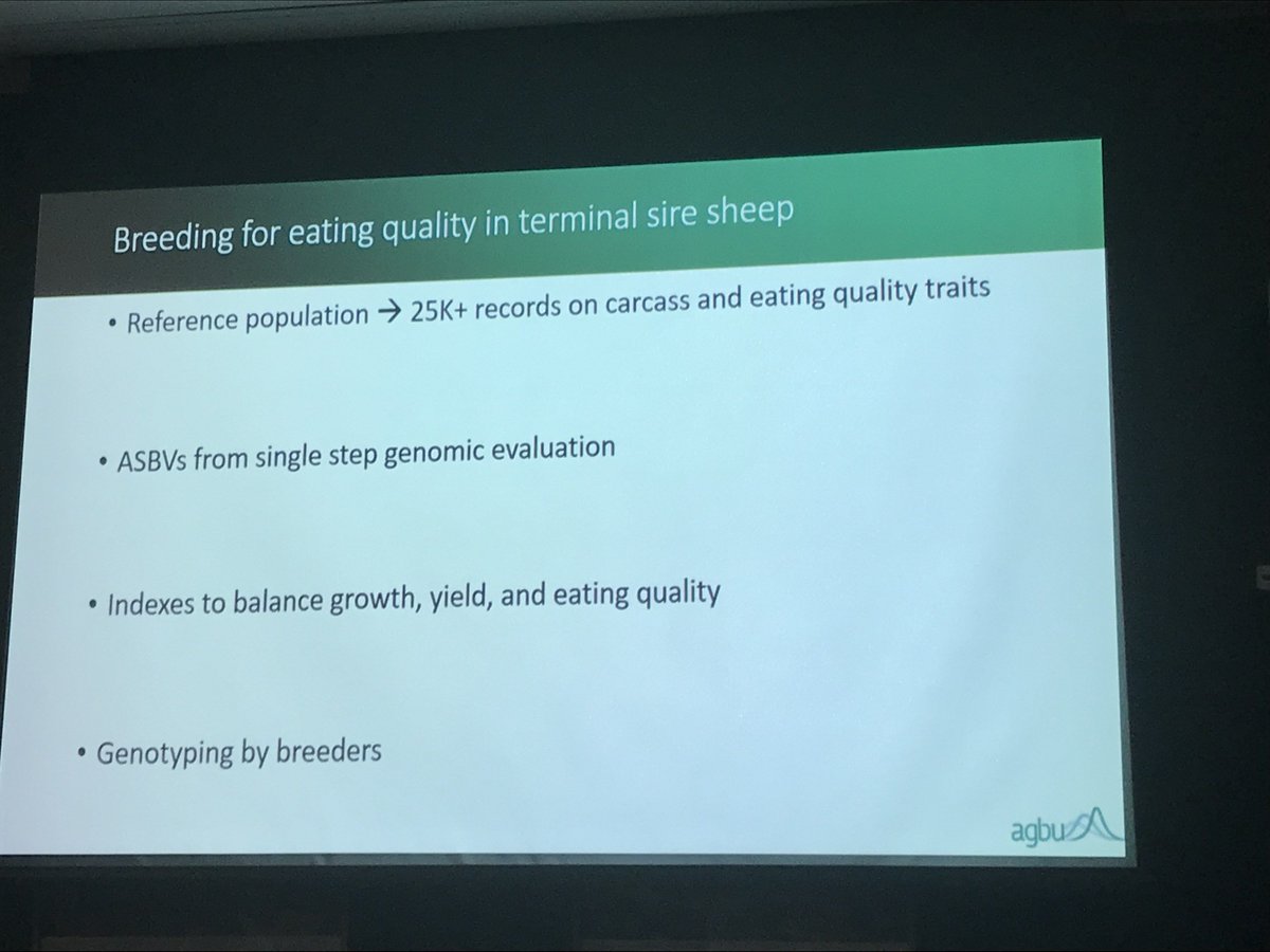 AGBU_GENE's tweet image. Another fantastic presentation from Andrew Swan an integral part of the @AGBU_GENE sheep team. Looking at the value of different information source for breeding programs looking to improve eating quality. #Genomics #Phenotypes #BreedingPrograms #Indexes #AGBUSeminar