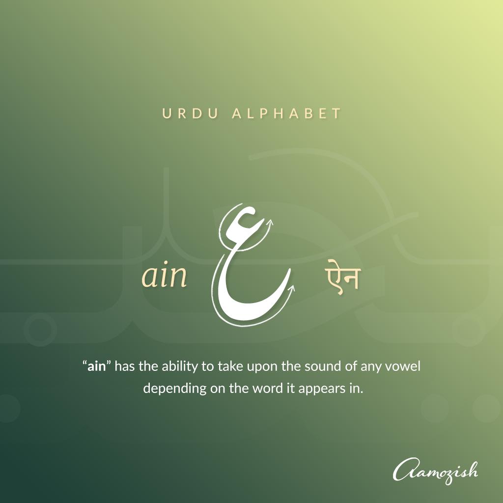 ❁⃘*.゜アーティチョーク なくっ 