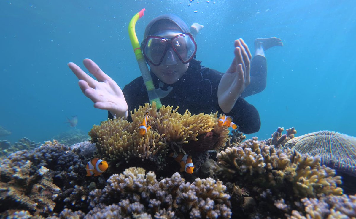 OPEN TRIP PAHAWANG :
- Start jakarta 630.000
- Start merak 450.000

Informasi lebih lanjut, hubungi kami:
HELMI ENDARTO
WhatsApp / CALL : 0818-0729-1593
PASARWISATA.ID

#pasarwisataid #travelwriter #travel #instatravel #travelgram #tourism