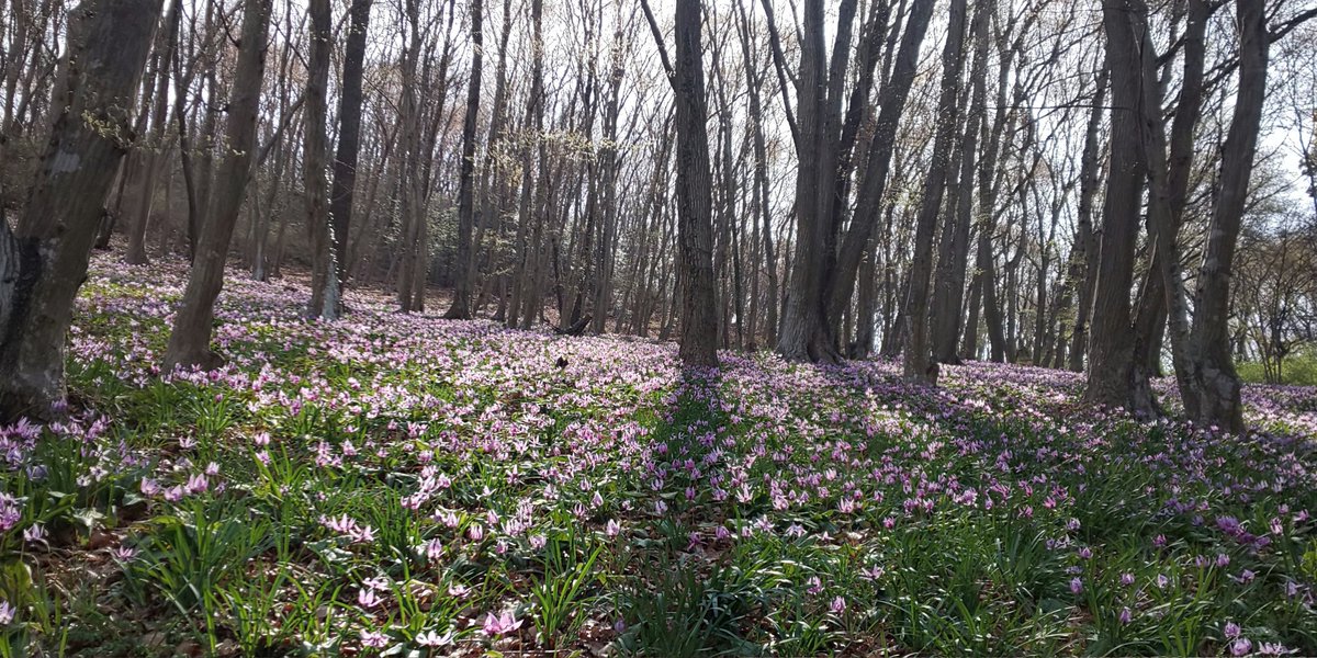 みかも山公園 みかも山公園