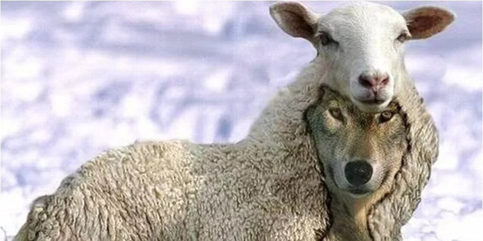 Aadhi_Yogi's tweet photo. CONgress for you !
#CongressInsultsIndia #CongressMuktBharat #CongressWithPakisthan #CongForPakistan https://t.co/bcgc7lDfsj