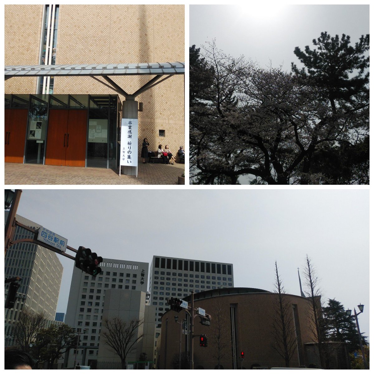 頭蓋骨骨折 頭蓋骨骨折