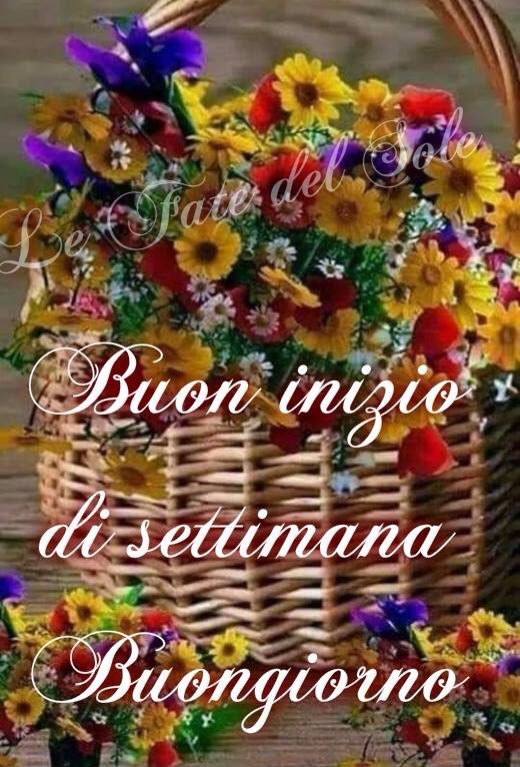 Anna On Twitter Paolettapaly Bongiorno Paola Si Ricomincia Buon Lunedi