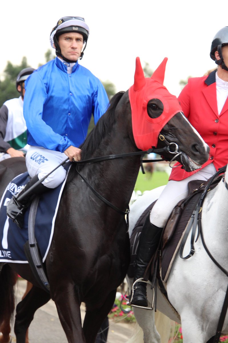 octagonal1's tweet photo. ゴールデンスリッパー、ゴドルフィン6頭出し①
2019.3.23
#Microphone
#HughBowman
#Lyre
#LukeCurrie
#Godolphin
#GoldenSlipperDay
#GoldenSlipperStakes
#RosehillGardens https://t.co/P6fKmUJht8