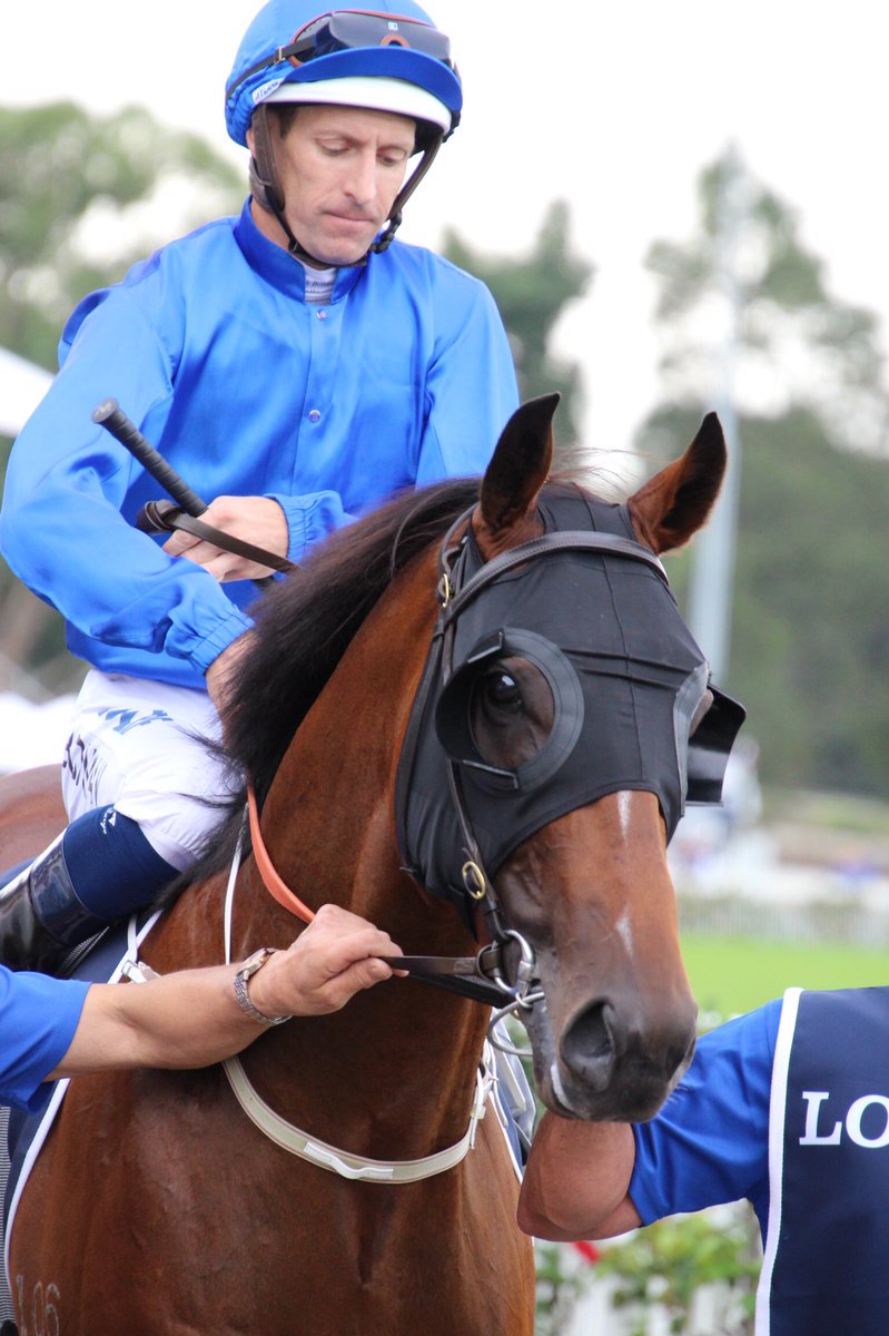 octagonal1's tweet photo. ゴールデンスリッパー、ゴドルフィン6頭出し①
2019.3.23
#Microphone
#HughBowman
#Lyre
#LukeCurrie
#Godolphin
#GoldenSlipperDay
#GoldenSlipperStakes
#RosehillGardens https://t.co/P6fKmUJht8