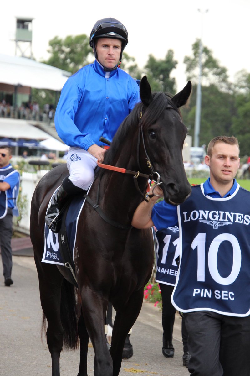 octagonal1's tweet photo. ゴールデンスリッパー、ゴドルフィン6頭出し②
2019.3.23
#Tenly
#JamesMcDonald
#Pinsec
#TommyBerry
#Exhilarates
#KerrinMcEvoy
#Godolphin
#GoldenSlipperDay
#GoldenSlipperStakes
#RosehillGardens https://t.co/Wr1xFQXg7q