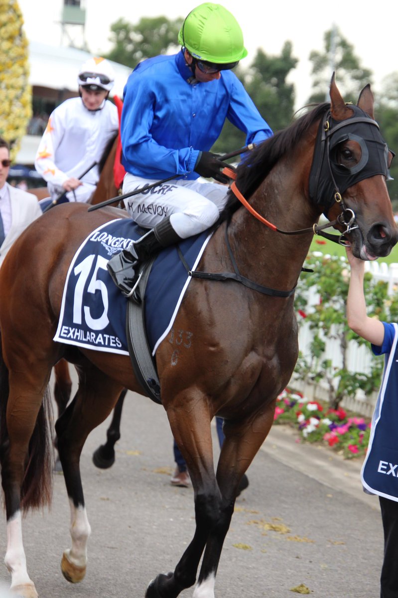 octagonal1's tweet photo. ゴールデンスリッパー、ゴドルフィン6頭出し②
2019.3.23
#Tenly
#JamesMcDonald
#Pinsec
#TommyBerry
#Exhilarates
#KerrinMcEvoy
#Godolphin
#GoldenSlipperDay
#GoldenSlipperStakes
#RosehillGardens https://t.co/Wr1xFQXg7q