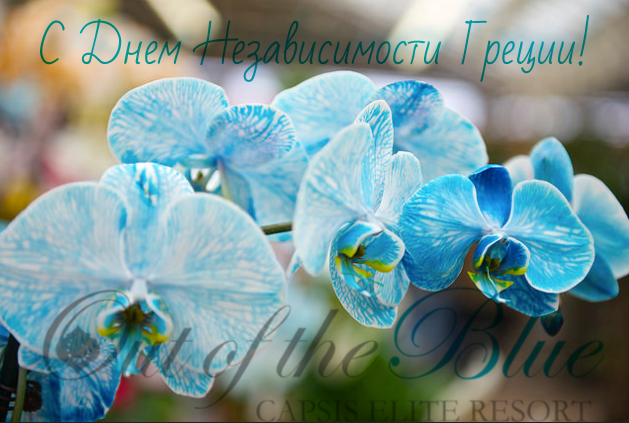 CapsisResort's tweet photo. Поздравляем всю Грецию с одним из самых важных праздников в истории страны!
#OutoftheBlueCapsisEliteResort #Крит #Греция #турывГрецию #luxuryresort https://t.co/pXopqKmOcA