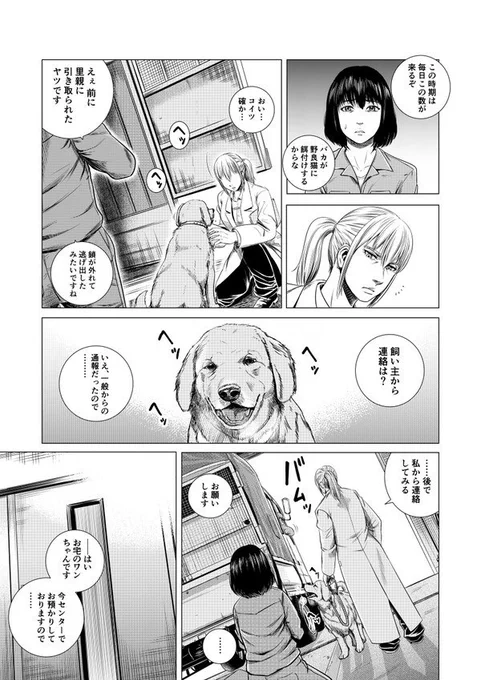 保健所の獣医さんが初めて保護犬を助けるお話(4/11) 