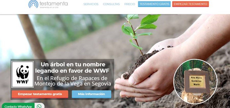 Testamenta_com's tweet photo. Ahora gracias a la colaboración de @WWF y @Testamenta_com puedes plantar un árbol 🌱🌲 con tu nombre en el Refugio de Rapaces de Montejo de la Vega en Segovia y además dejar tu #legadosolidario en su favor -> https://t.co/5sIAOJRZCu #testamentosolidario #ONG #WWF #testamenta https://t.co/C03yXuOgA1