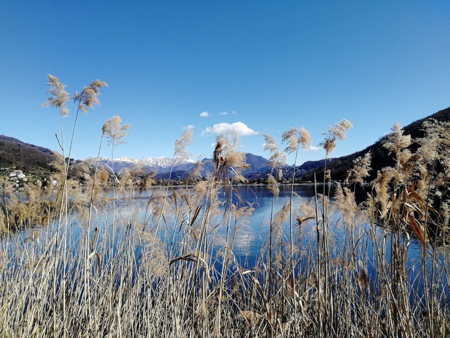 La Via Francisca del Lucomagno: cosa c’è da sapere mylifeintrek.it/via-francisca-…