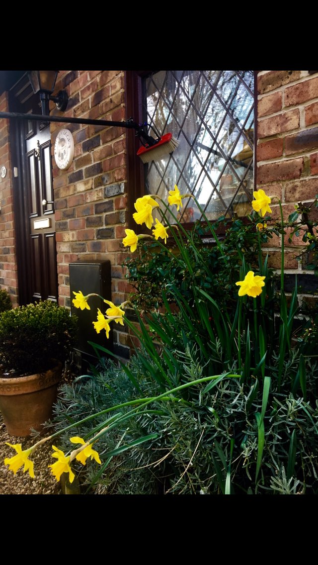 ReignWindwc1ean's tweet image. Spring into action with @ReignWindwc1ean 
If your house needs a Spring-time spruce up then get in touch. We are external cleaning experts. We offer great prices on #Window #Gutter #Fascia #Soffit #Cleaning #Patio and #Conservatory cleaning for your #home or business. #spring 😁☀️