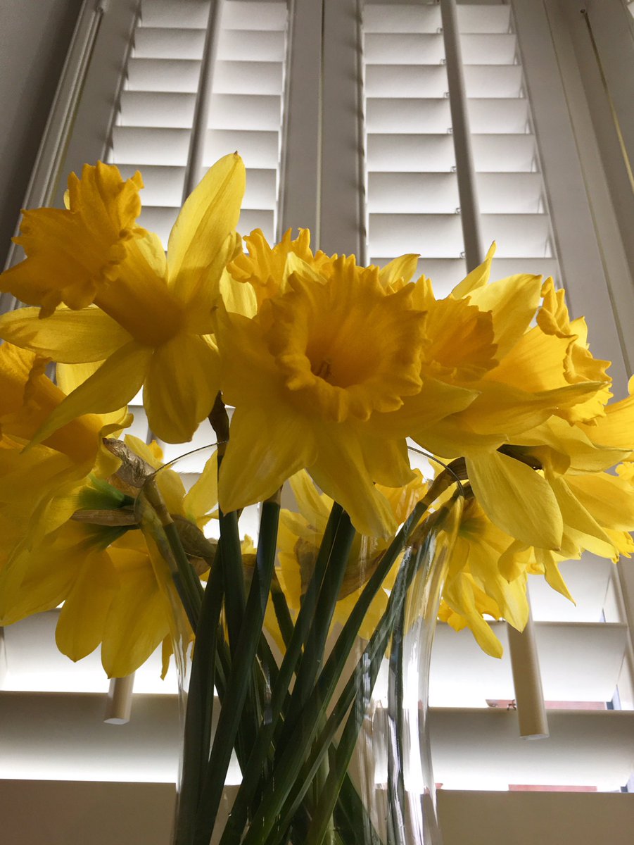 ReignWindwc1ean's tweet image. Spring into action with @ReignWindwc1ean 
If your house needs a Spring-time spruce up then get in touch. We are external cleaning experts. We offer great prices on #Window #Gutter #Fascia #Soffit #Cleaning #Patio and #Conservatory cleaning for your #home or business. #spring 😁☀️