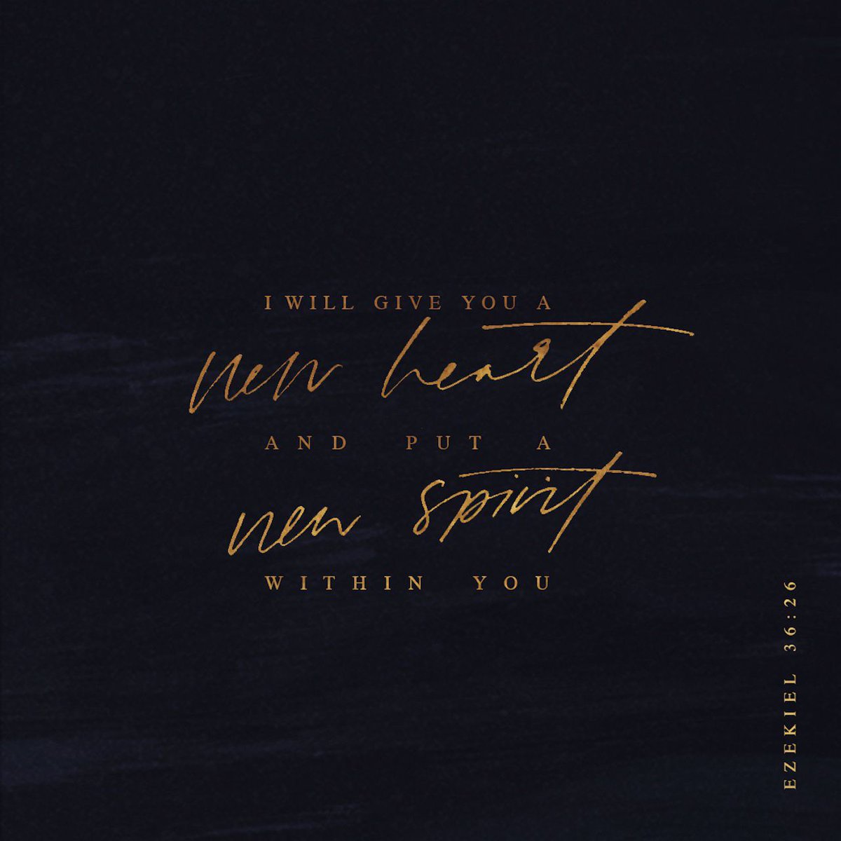 abtw85's tweet image. I will give you a new heart and put a new spirit in you; I will remove from you your heart of sto…
bible.com/bible/111/ezk.…