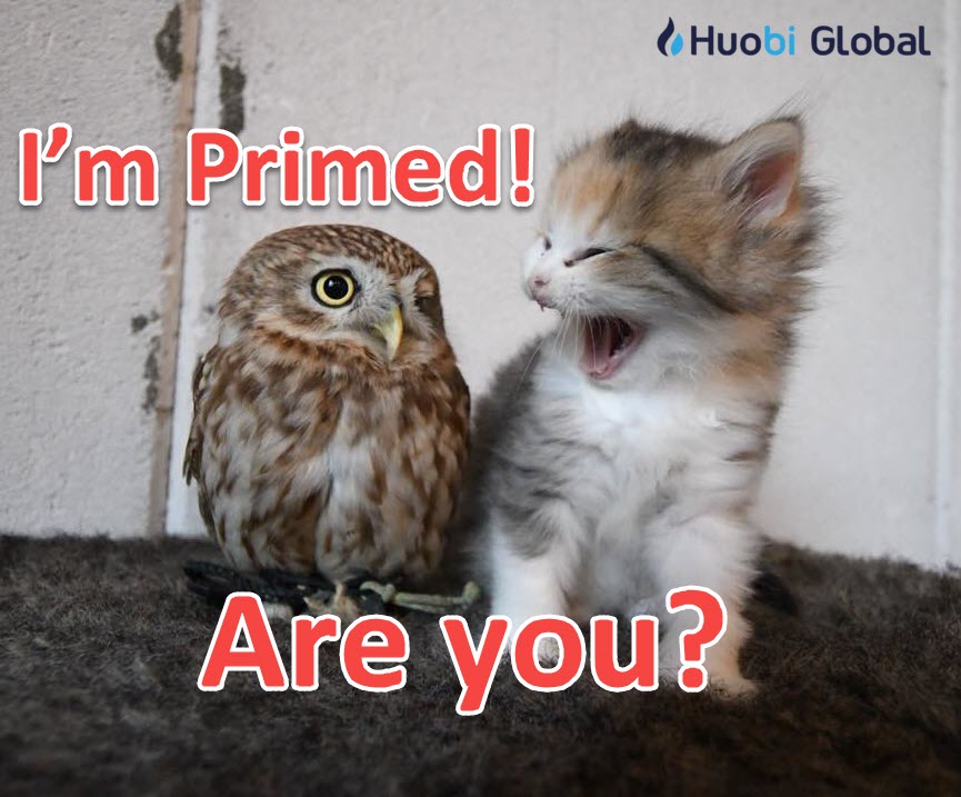 agtereshko's tweet image. I’m Primed, Are you? 
@HuobiGlobal @topnetwork_top 
#HuobiPrime $TOP #ImPrimed