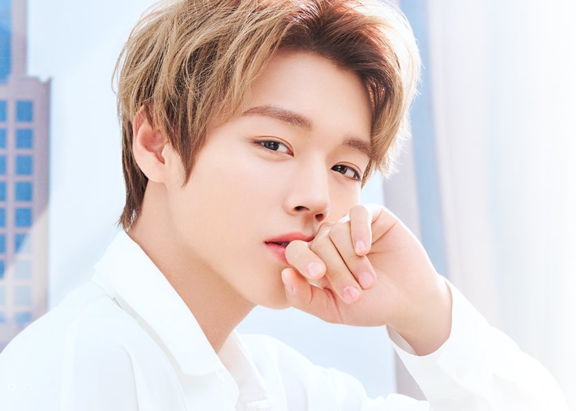 Park Jihoon / 박지훈 pics tweet media