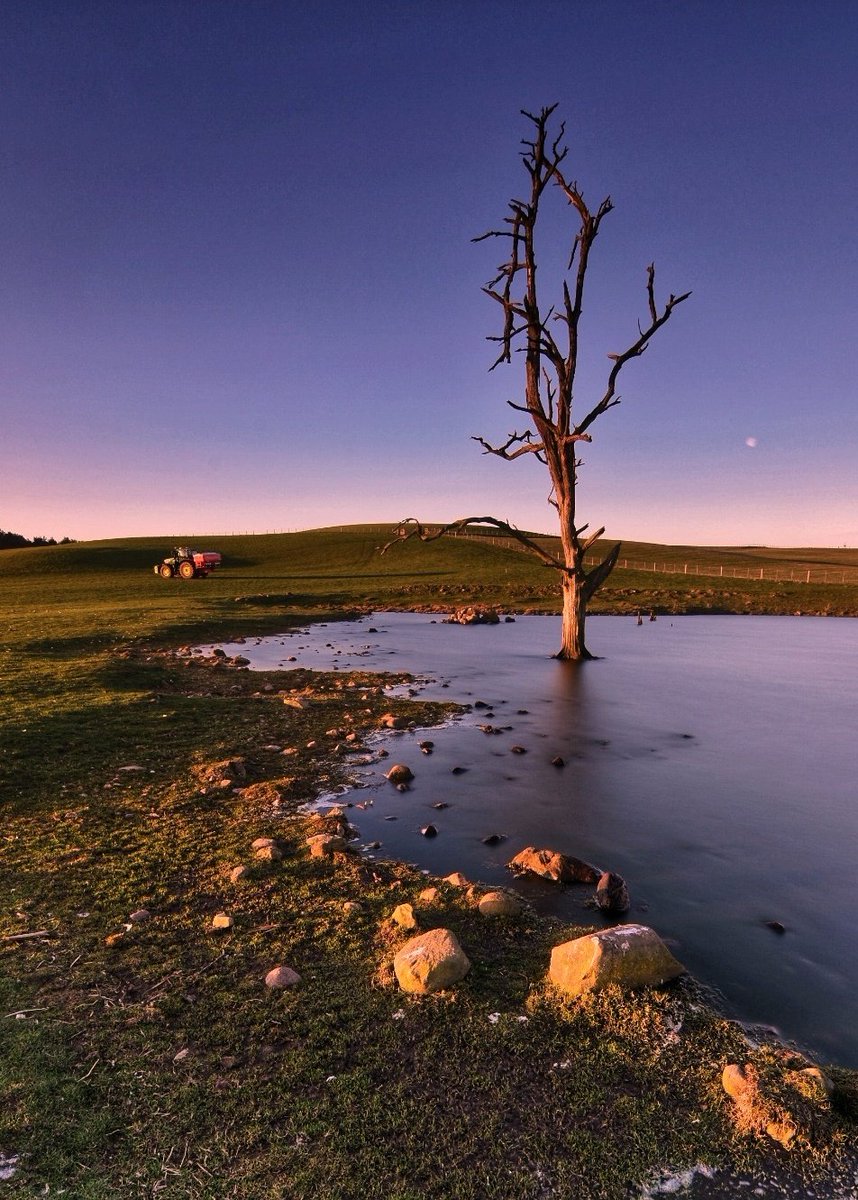 tony6290's tweet image. I STAND ALONE
 In this beautiful little lake on a hill top near Wooler North Northumberland. #countryfile #NorthEast #kuhn #JOHNDEERE #Northumberland #landscape