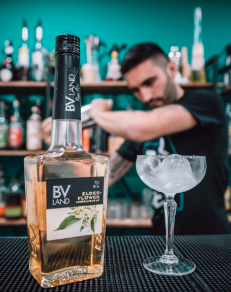 BVLand liquors must be part of any recipe. A good bar has two indispensable elements:
A great bartender 
BVLand liqueurs 

The newest addition to your bar is just a click away: bit.ly/getbvlandforyo…

🍹