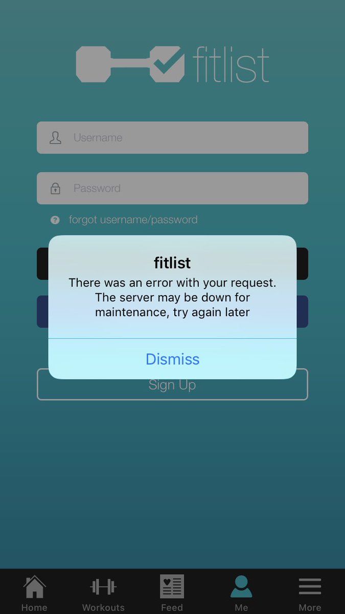 Rachel ter Stege tweet media