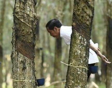 MSApunya's tweet photo. Ciluk Baa

PENCITRAAN DI KEBUN KAYET
✓kiri gaya BUNGA CITRA
✓kanan gaya BUNGA LESTARI

*ups apakah org² yg ada di gambar kanan dianggap makar?🤔

#2019GantiPresiden https://t.co/US2wEwOCux