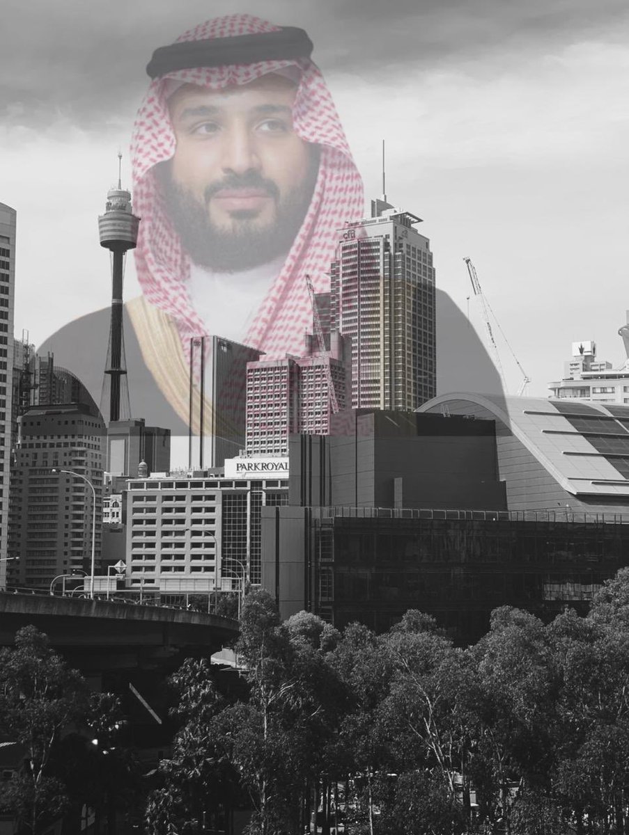 Ph__Abrar40's tweet photo. حفظ الله ولي العهد صاحب السمو الملكي الأمير محمد بن سلمان وحفظ الله مملكتنا الغالية وجنودنا البواسل وآدام علينا الامن والأمان 🇸🇦 #سيدني_أجمل_صورة _أجمل_صورة #قادر_فباد  #ولي_العهد_الأمير_محمد_بن_سلمان #رؤية_2030 https://t.co/ZSpCtZUYDd