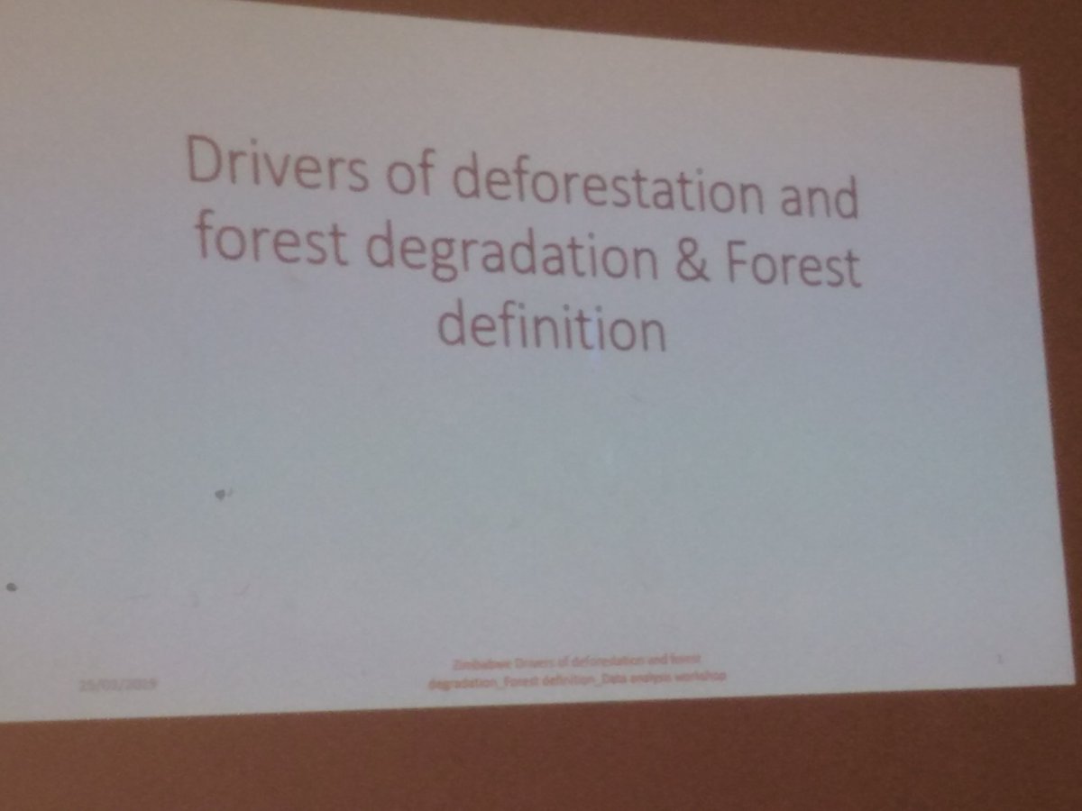 ZimForest's tweet image. We are @ ZIPAM in Darwendale this week, a few km out of #Harare for a data analysis workshop on drivers of deforestation.
#forest_degradation
#climatechange
#drivers_of_deforestation