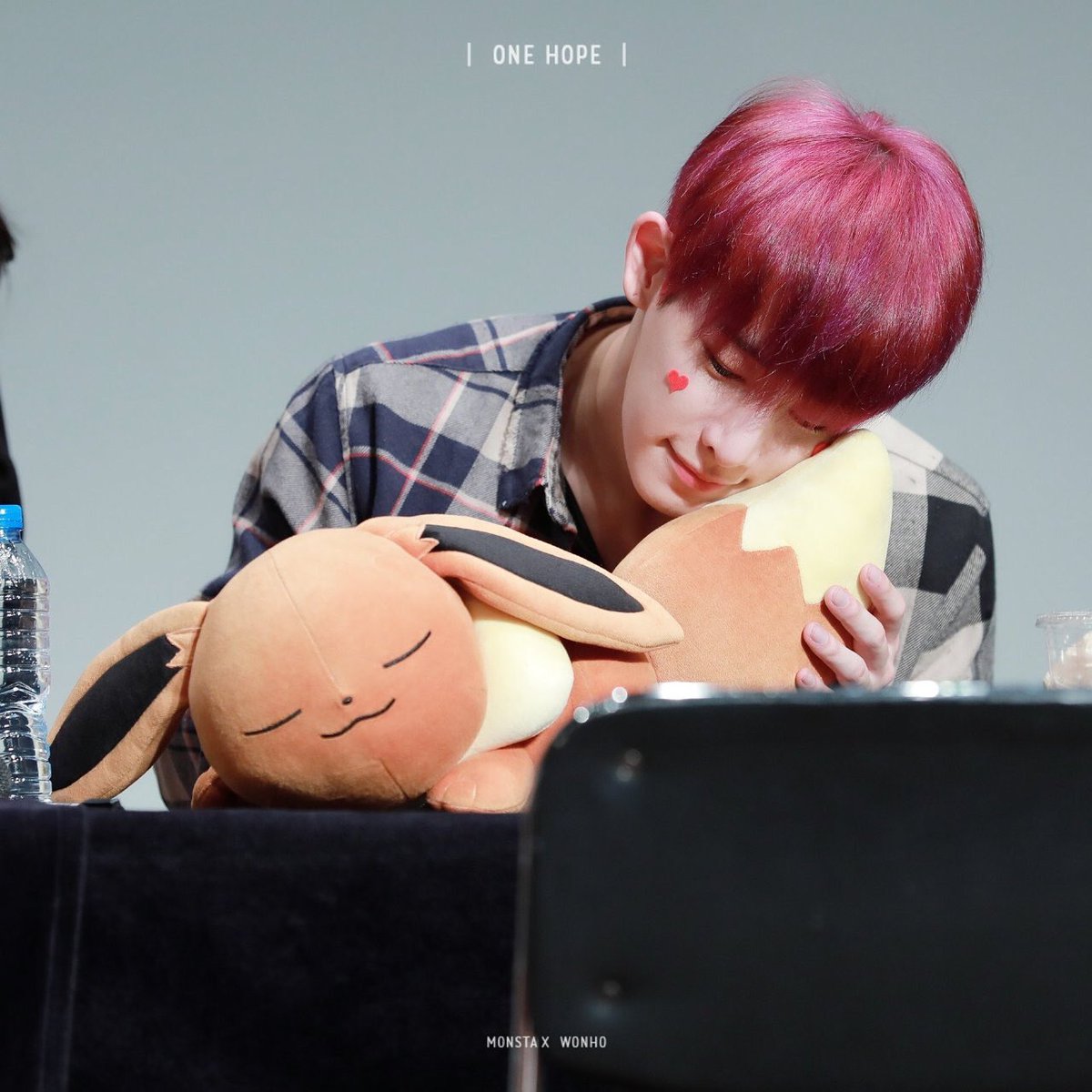 0514kw's tweet photo. 이브이와 교감하는 호브이 https://t.co/liOAN6eC6z