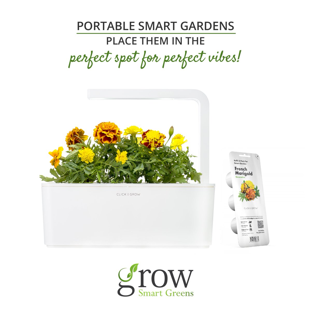 GrowSmartGreens's tweet photo. Orange represents pride, ambition &amp; communication. It also signifies health &amp; vitality
Orange shades can be placed in kitchens in the south or southeast direction. French Marigold is the perfect match for this! 
#vastu #vastushastra #vastutips #vastuconsultant  #vastuexpert https://t.co/cIparTMqyo