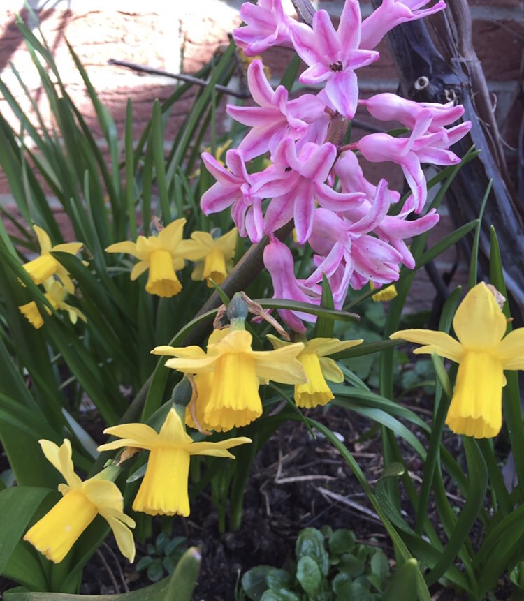 Euch allen einen guten Wochenstart #MondayMotivation