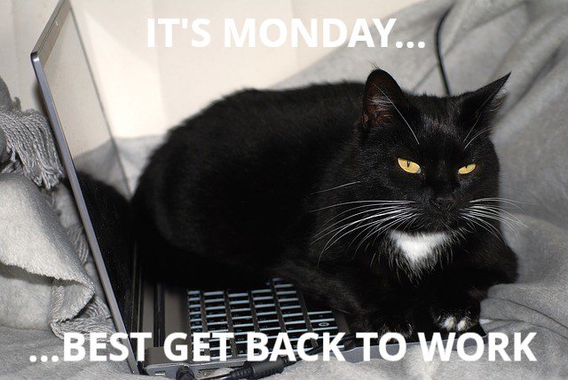 Happy Monday morning! We help pet owners spread the cost of their vet bills and we provide vets a simple, paperless finance solution for their clients. carefreecredit.co.uk
#makingvetsliveseasier #helpwithvetbills #petsofinstagram #petstagram