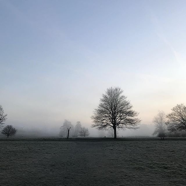 SuttonPoint's tweet image. With Spring on the way, make sure you take stroll through some of Sutton’s expansive green areas on a lovely crisp morning.⠀

@mhenninger61