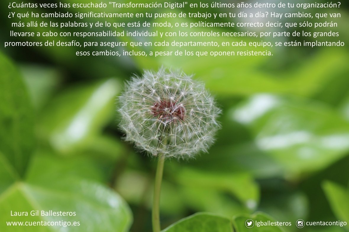 lgballesteros's tweet photo. ¿Cuántas veces has escuchado "Transformación Digital" en los últimos años dentro de tu organización? ¿Y qué ha cambiado significativamente en tu puesto de trabajo y en tu día a día? Hay cambios, que van más allá de las palabras...#cuentacontigo #TransformacionDigital #FelizSemana https://t.co/oNu5YmJUOH