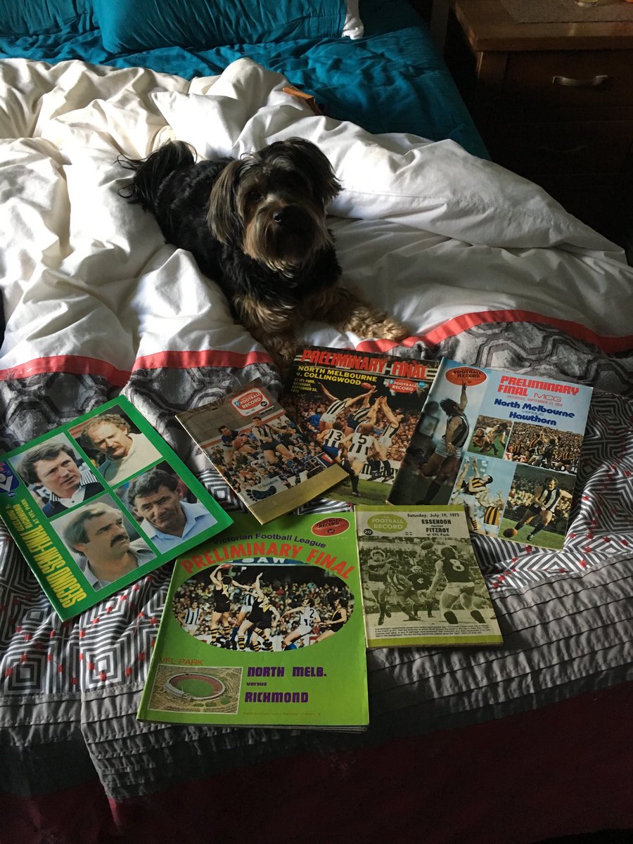 damagedalton's tweet image. The emerald market had some gems this week. #recordnerd 
Also got a free 🐶 and learned how not to make the bed 🤷‍♂️