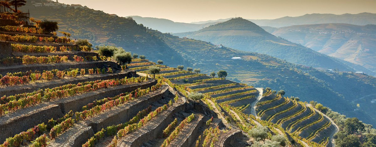 thenewdouro's tweet photo. A new format, taking place in the #Douro Valley. Hurry up to get a seat: 
https://t.co/M8LZZWIswk #douroprimeiraprova19 #thenewdouro #dourovalley #primeiraprova #primeiraprova19 #douroprimeiraprova19 #TND #porto #regua #winetasting #portugal #portugalwine #visitportugal https://t.co/xGjFwTaYJn